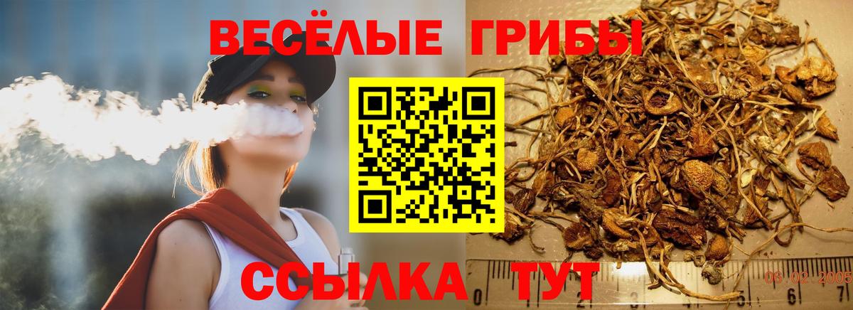 Шатура  Галлюциногенные грибы прущие грибы  Вход с VPN 